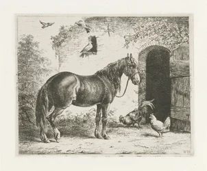Horse with Halter