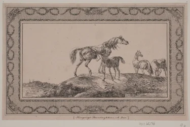 A Mare with Her Foal