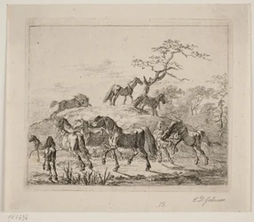 Stud Farm Horses