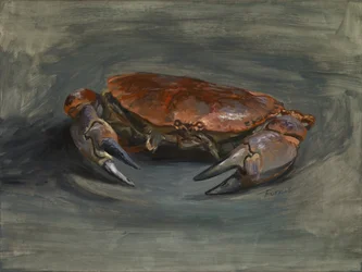 Crab