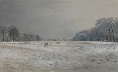 Deer in the Snow - Richmond Park, 2015