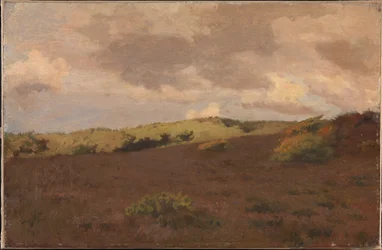 Heathland. Autumn