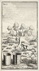 Gardener Harvesting, Published in Erfurt, 1753-55