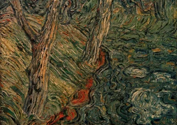 Trees on the Riverbank