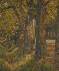 Belvedere Avenue in High Summer