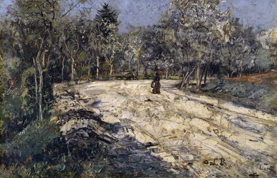 Berka Country Road