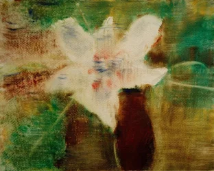 Magnolia Blossom