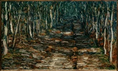 Forest Path to Erling