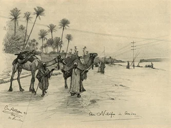 Camel-drivers on the banks of the Nile at Aswan, Egypt