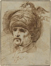 Oriental in a Fantastic Headdress