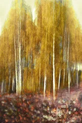 Abstract Golden Forest