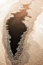 Abstract Winter Flow
