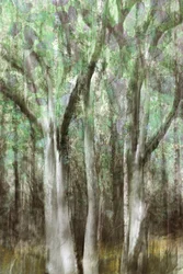 Abstract Woodland Serenity