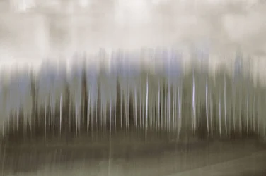 Blurred Forest Reflection