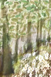 Dreamy Forest Flowers