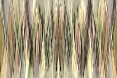 Earthy Abstract Lines