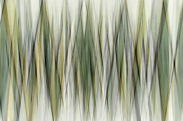 Earthy Geometric Lines