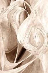 Elegant Flowing Curves