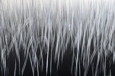 Ethereal Vertical Lines