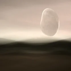 Floating Pebble Landscape