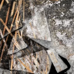 Frozen Reeds and Ice