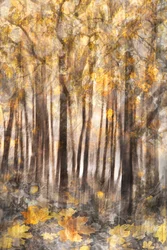 Golden Autumn Forest