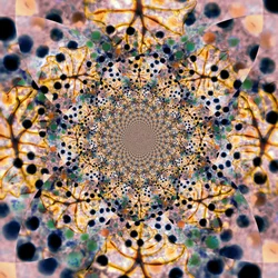 Intricate Organic Kaleidoscope