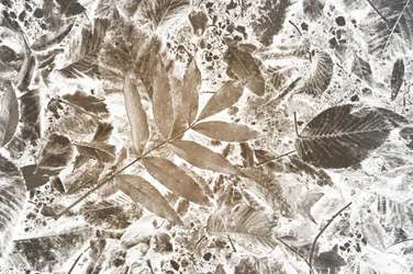Inverted Leaf Pattern