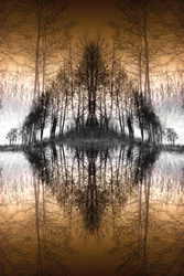 Mirrored Forest Lake