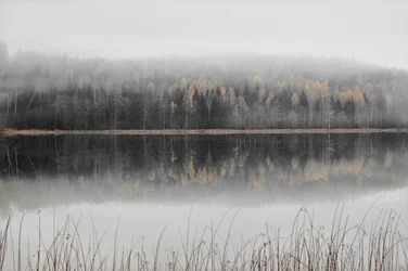 Misty Autumn Lake