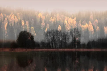Misty Autumn Reflections