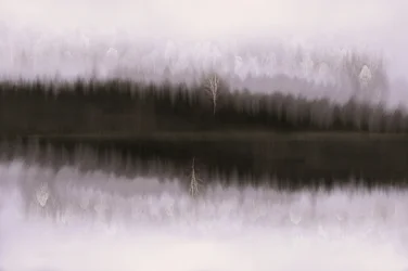 Misty Birch Reflection
