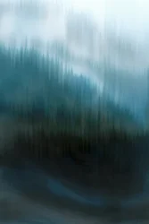Misty Blue Forest