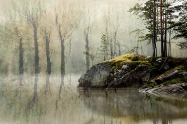 Misty Forest Lake