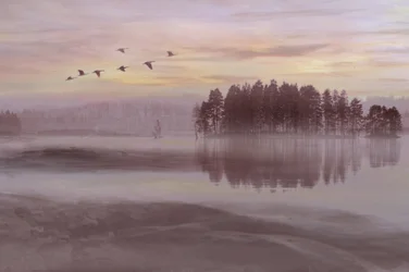 Misty Lake Bird Flight