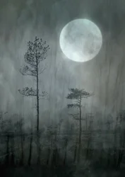 Misty Moon Forest