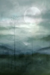 Misty Moonlit Forest