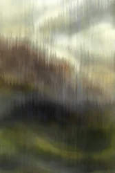 Misty Mountain Forest