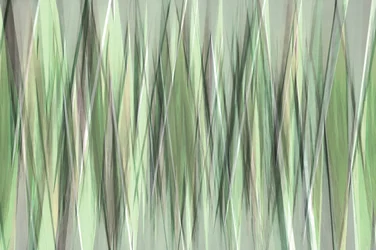 Serene Green Blades