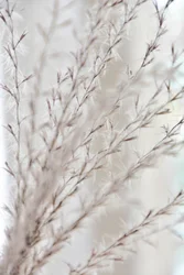 Soft Botanical Serenity