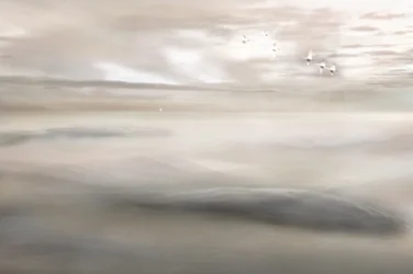 Swan Song To The Mist