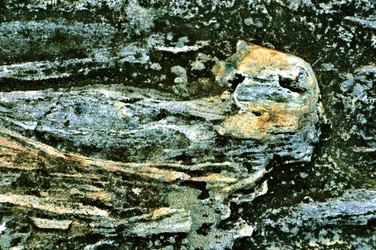 Textured Earth Layers
