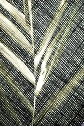 Translucent Leaf Texture