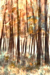 Warm Forest Glow