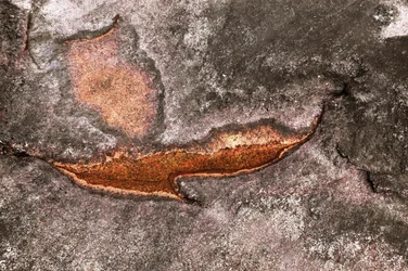 Weathered Mineral Surface