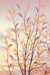 Whimsical Spring Branches