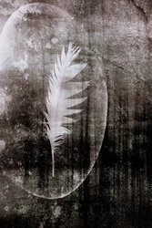 White Feather Moon