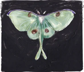 Green Luna Moth