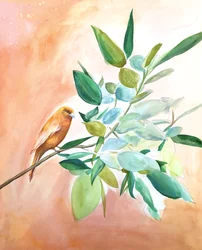 Orange Bird Branch
