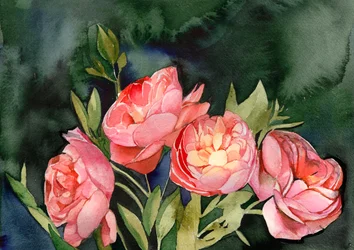 Pink Watercolor Blooms